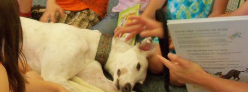 Children reading to a greyhound dog