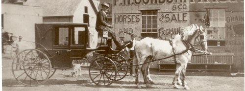 an old horse and carriage