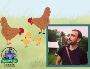 A flock of two chickens with three chicks, and a man with a chicken on his shoulder. A logo of the presenter, Tri Gable Lea Farm LLC.
