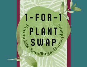Plant Swap ~Drop In~ - Thumbnail