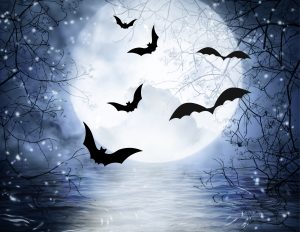 Ladies Night: Halloween Trivia - Thumbnail